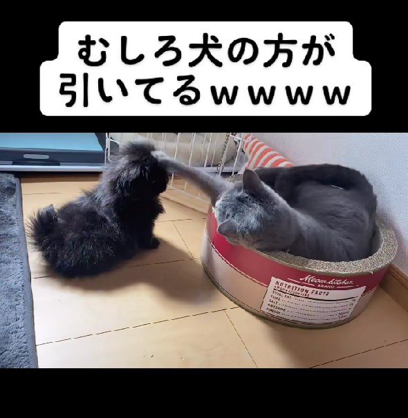 愛が止まらない♡