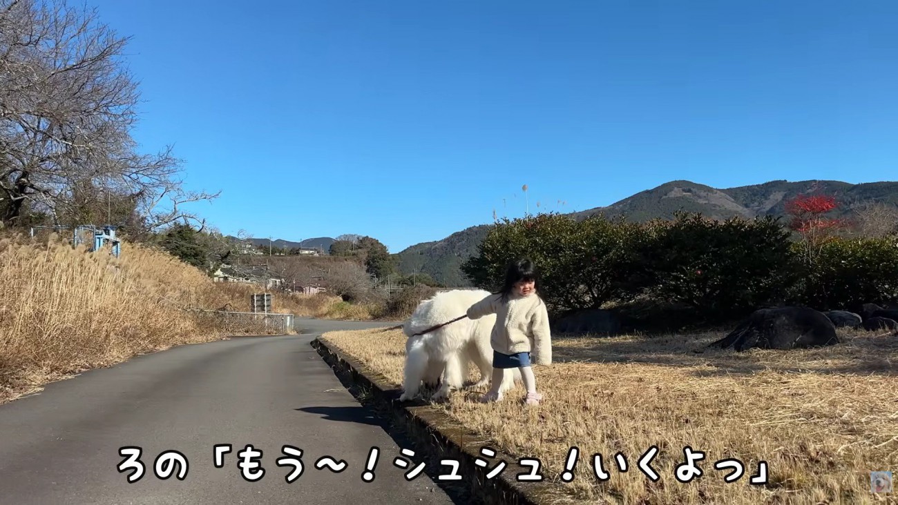 シュシュちゃんも素直です♡