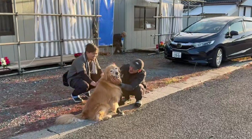 いつもなでてくれる作業員さん