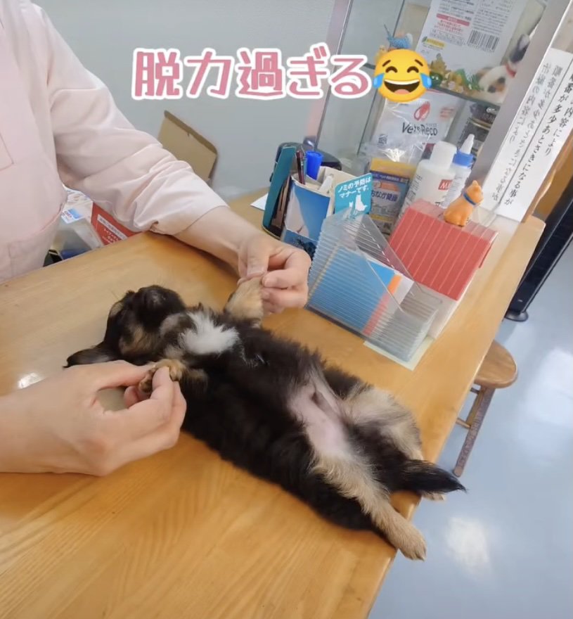 「されるがまま脱力系男子」の真髄