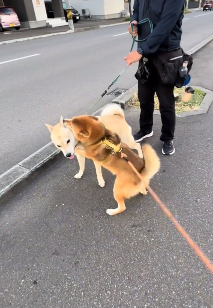 停止するぽんたくん