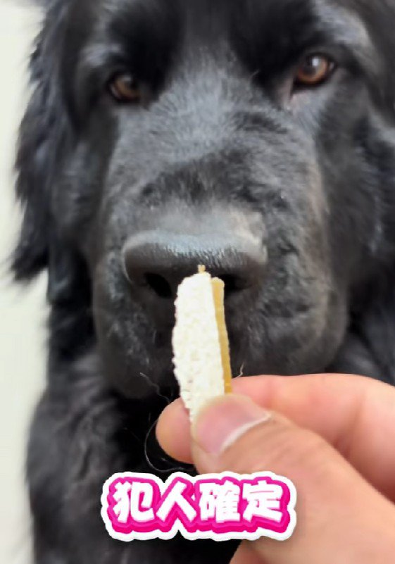 詰めが甘かった