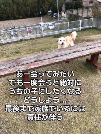 会いたいと思う投稿主さん