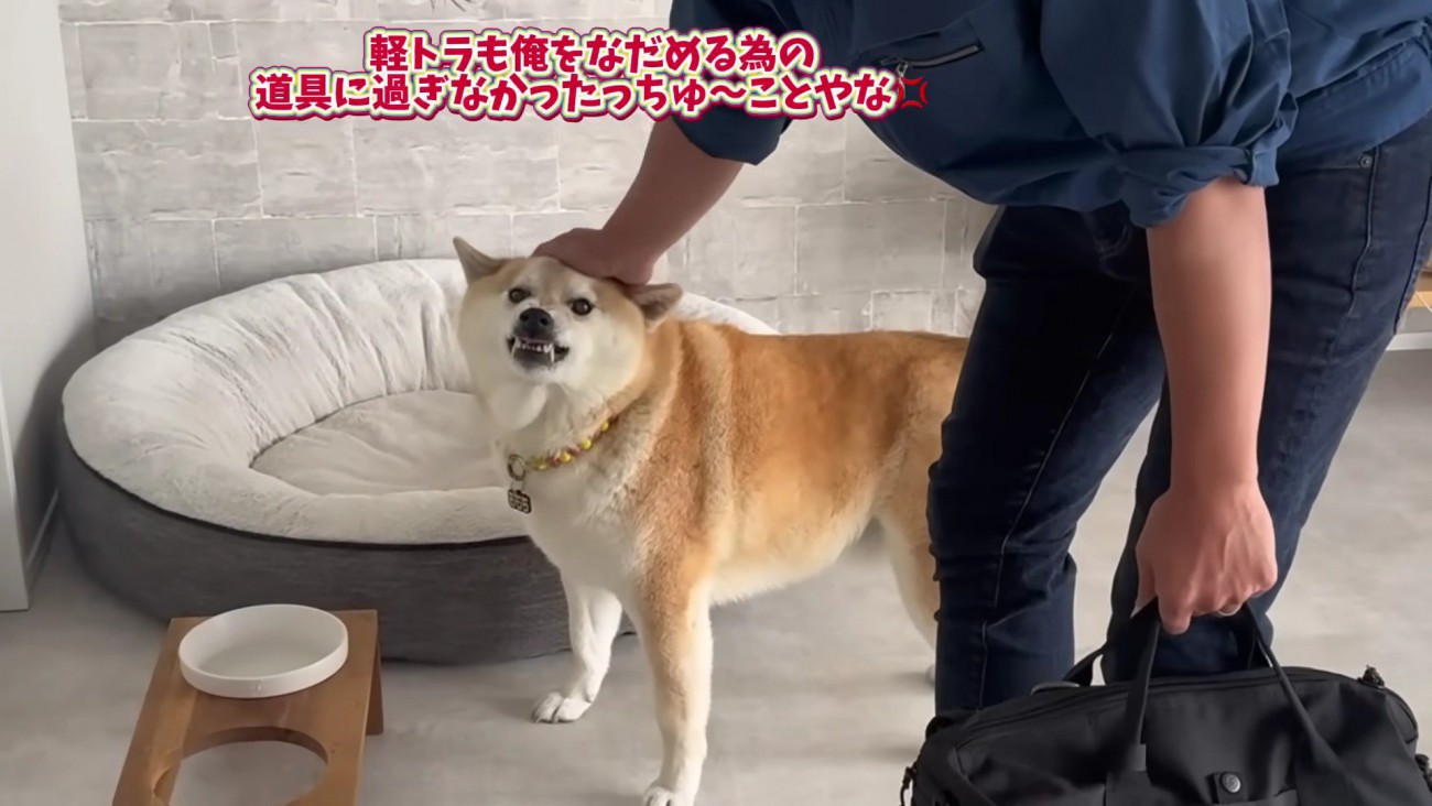 「嘘つくな！！」