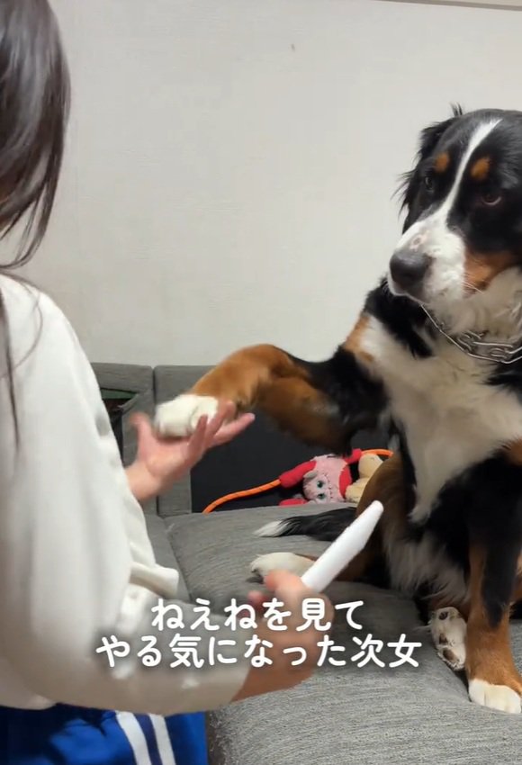 トレーニングするお姉ちゃん