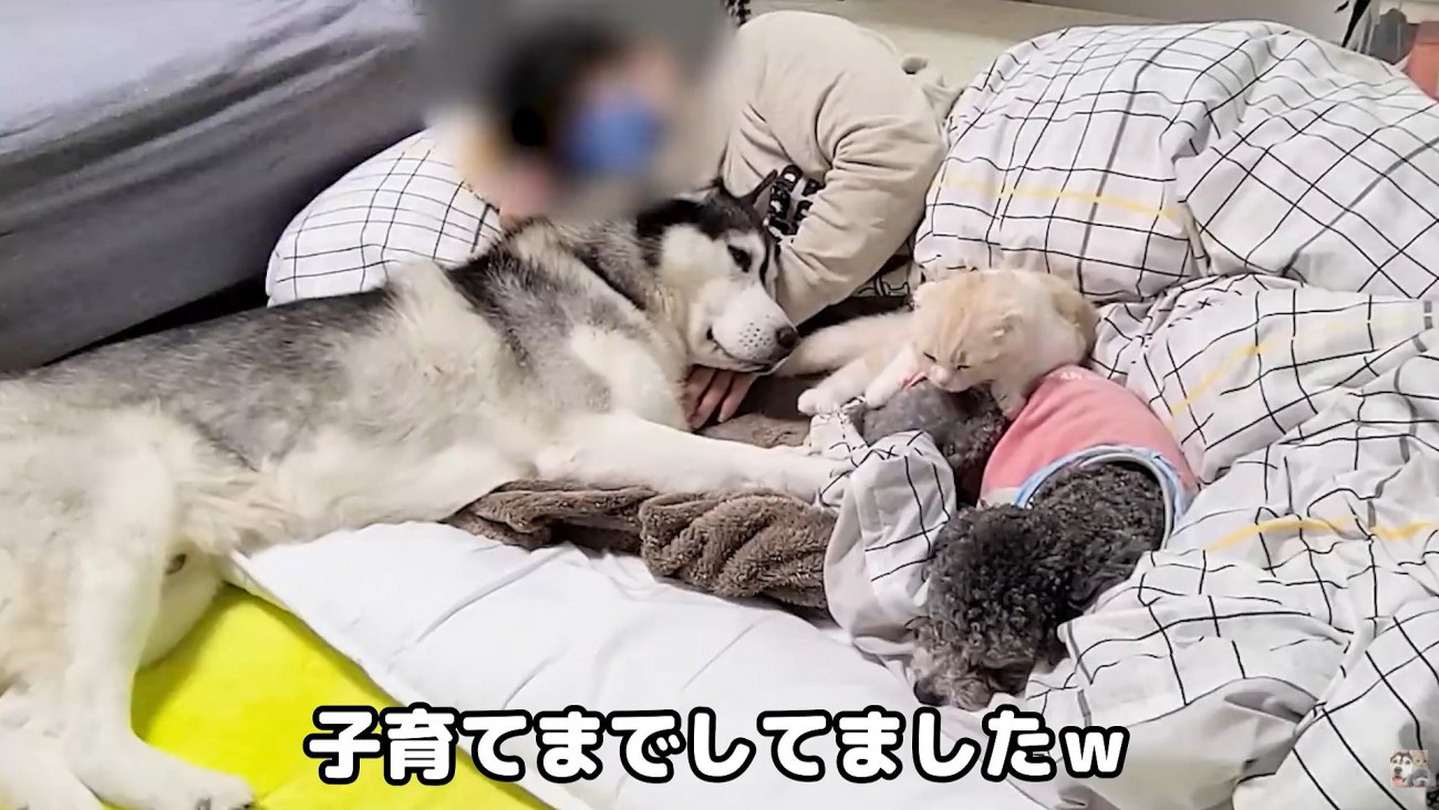 幸せ溢れる光景♡