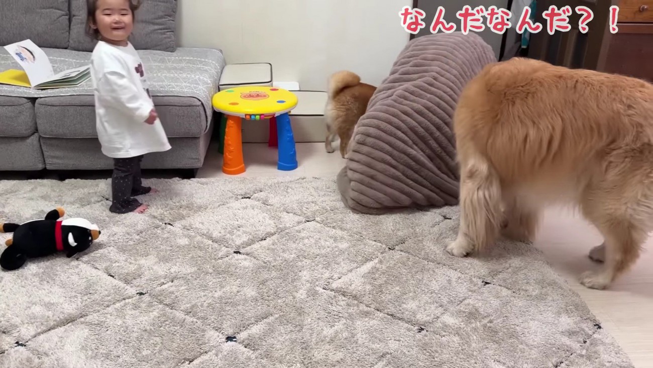 困惑するほのちゃん