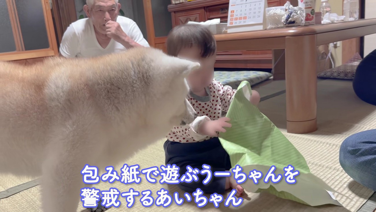 「何をしているの？」