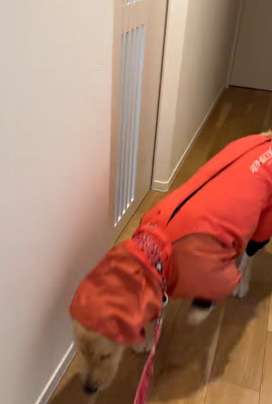 急な切り替えに爆笑♪