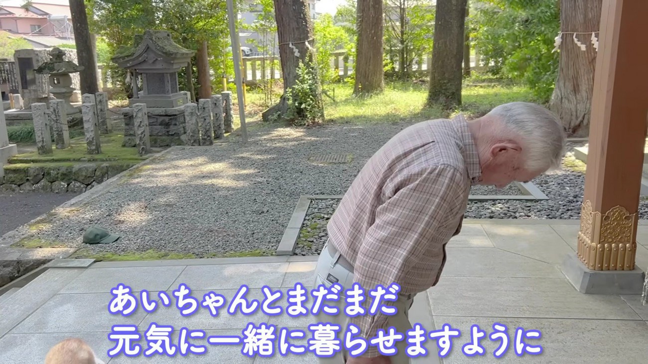 あいちゃんの健康を願って…