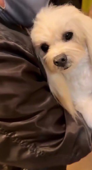 夢にまで見た瞬間が…