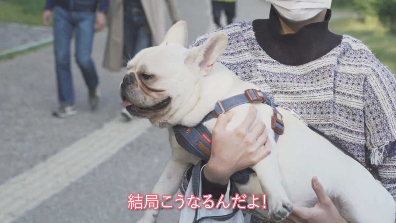 抱っこして帰ることに