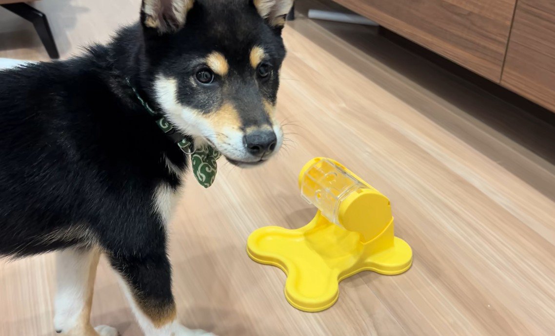 ご飯が出る玩具に苦戦するくろべえ君3