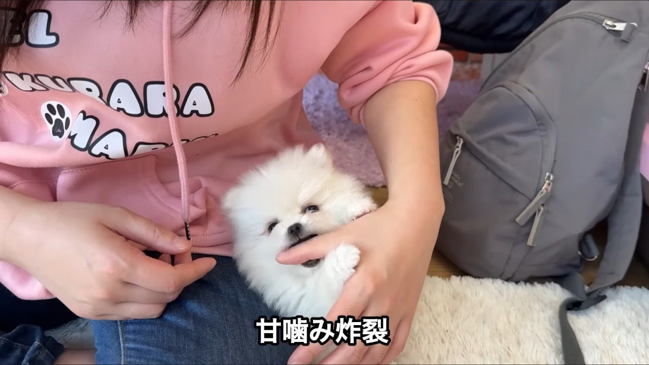 この子に決めた♡