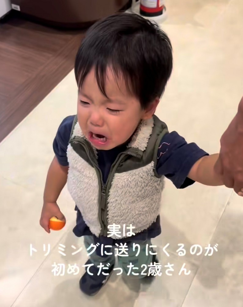 手を引かれて歩く男の子