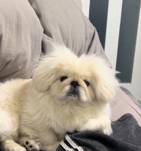 目がキラリ！！