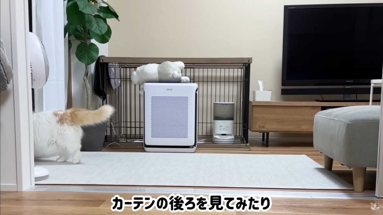 ポテチくんとレモンさんの再会6