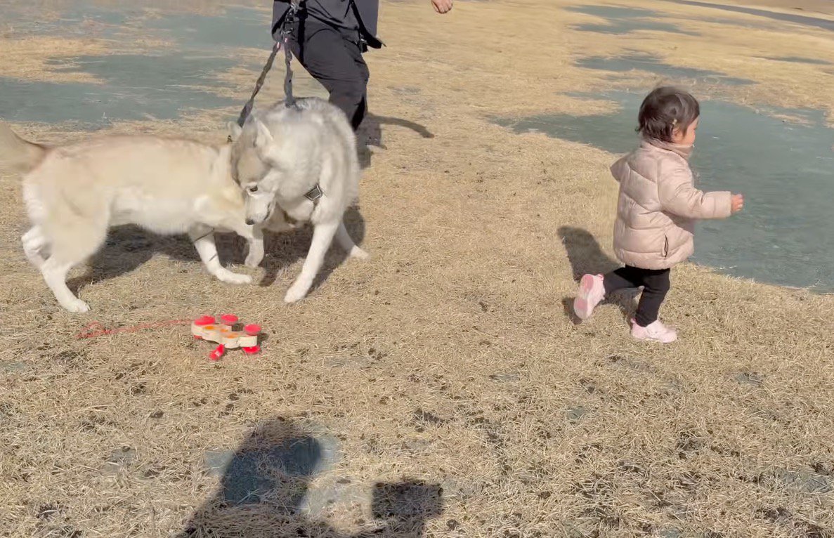 おもちゃの犬のリードを放して走り出す女の子
