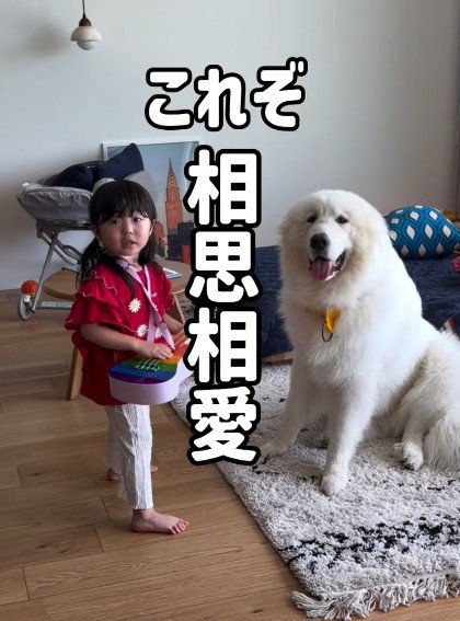 相思相愛な2人にホッコリ