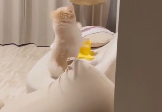 「もっと速くないとダメ？」