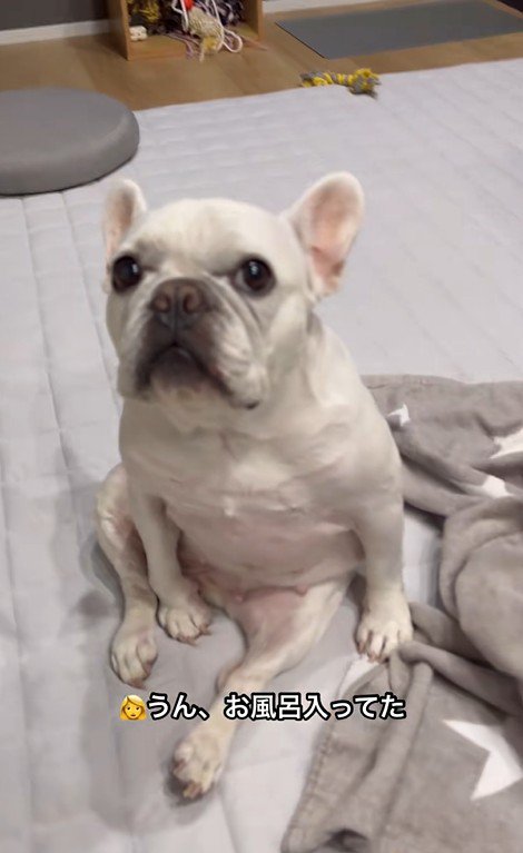 はなちゃんの体勢4