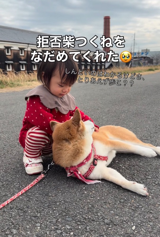 柴犬を宥める女の子