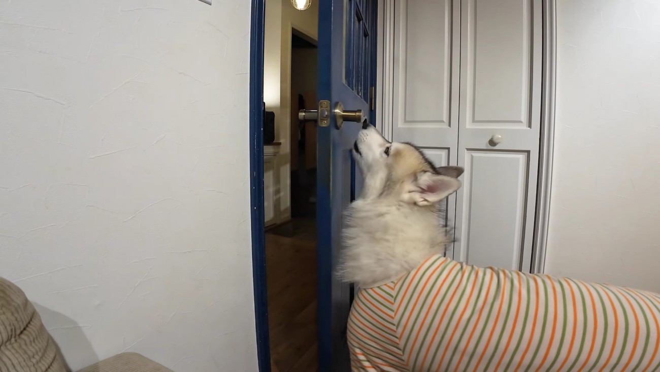 フィンくんが扉を開けて…