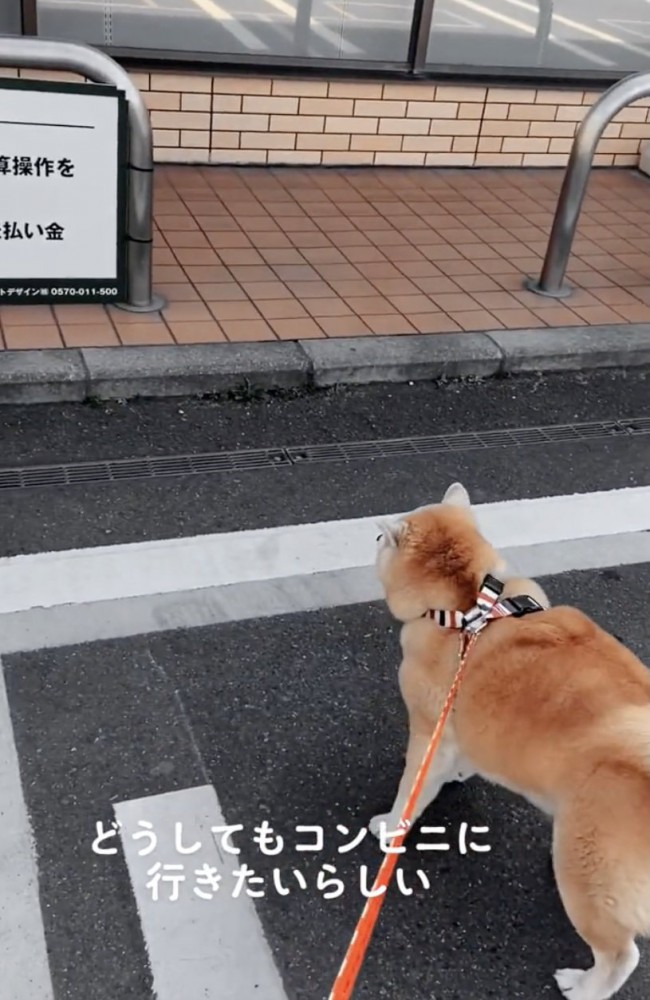 「行きましょうコンビニへ！」