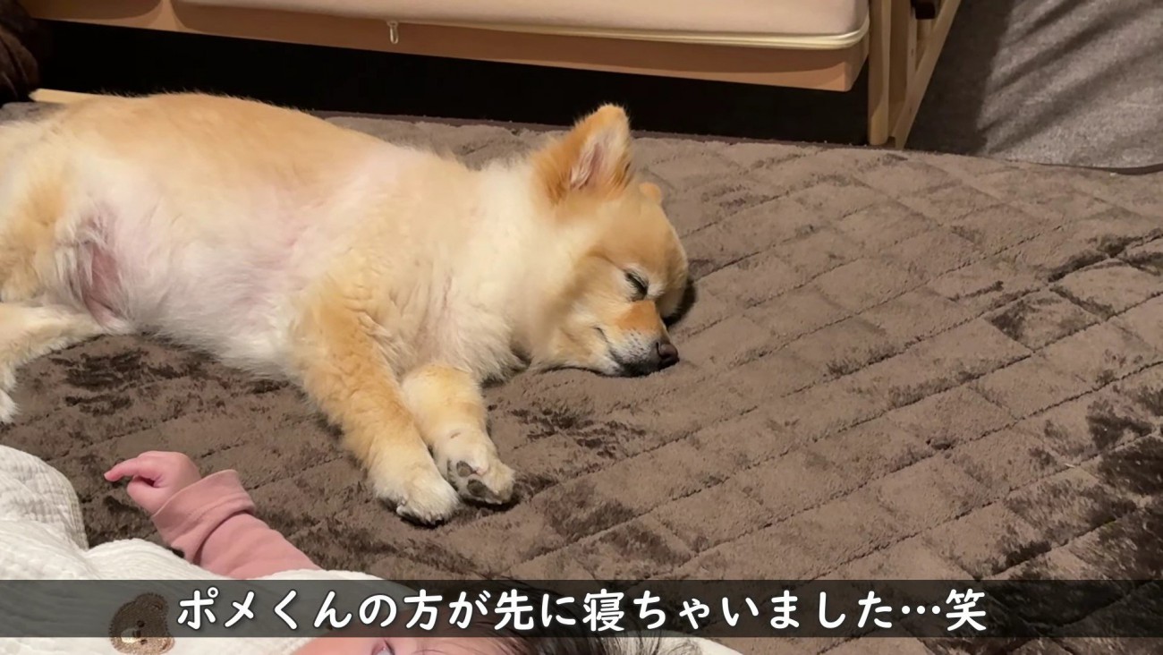 子育てお疲れ様！！