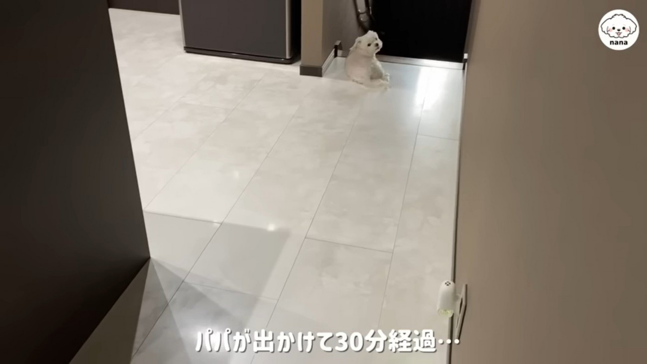 パパさんの帰りを待つナナくん4