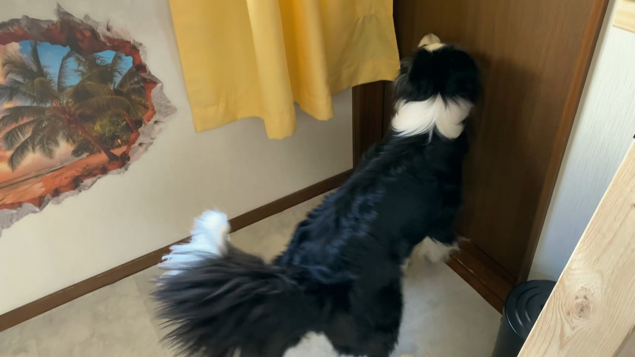 ドアの前でソワソワ…