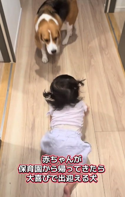 赤ちゃんを出迎えるまめたくん