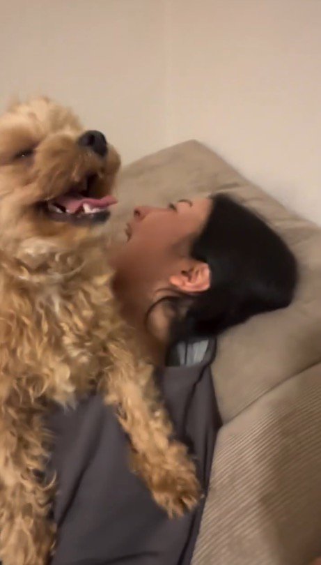 横になっている女性の体の上に乗って笑顔になる犬