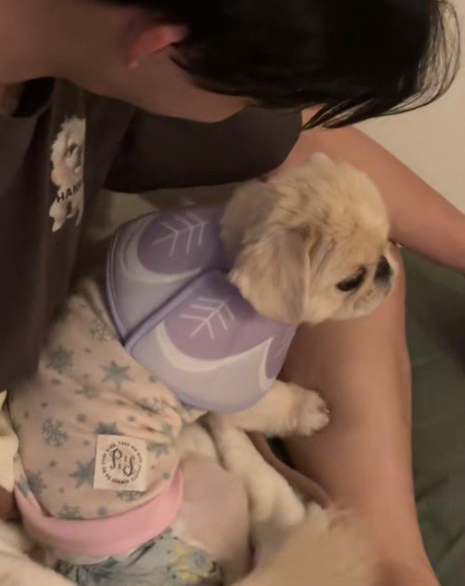 ママさんを無視