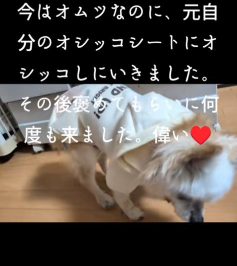 甘える姿が可愛い♡