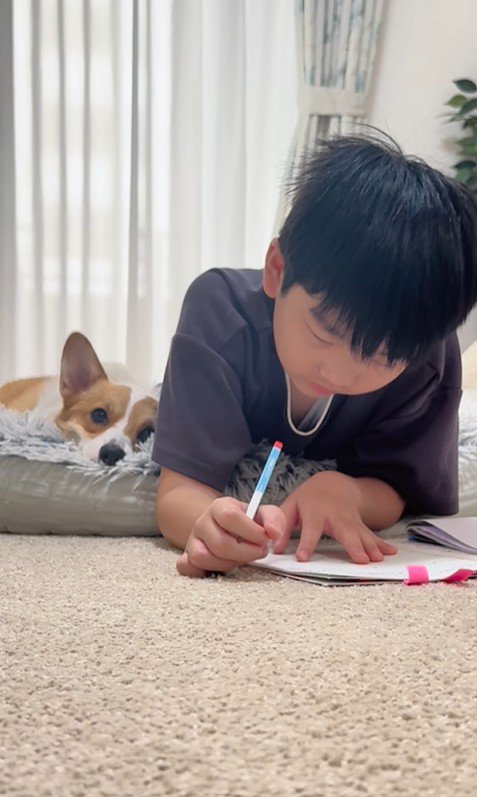 宿題中の男の子とココちゃん⑩