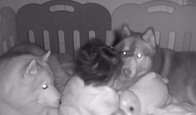 「大丈夫だよ、安心して」