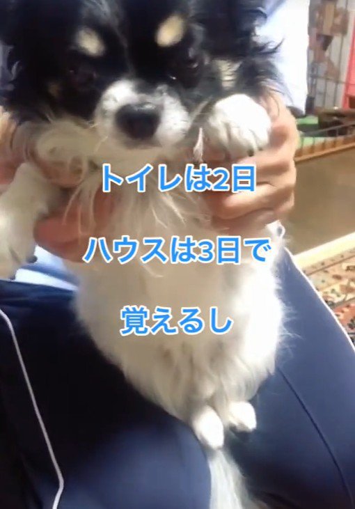 ちーちゃんとの出会い8