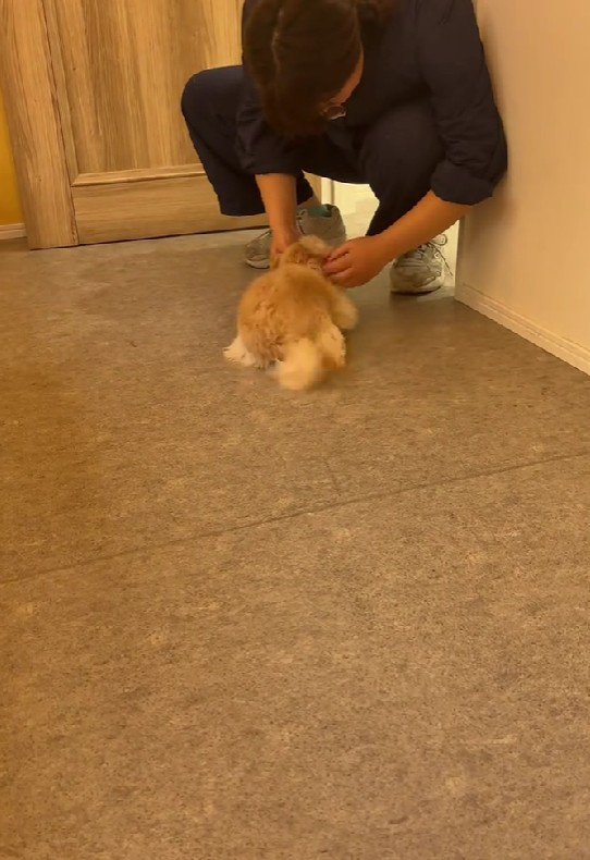 会いたかったよ～！！