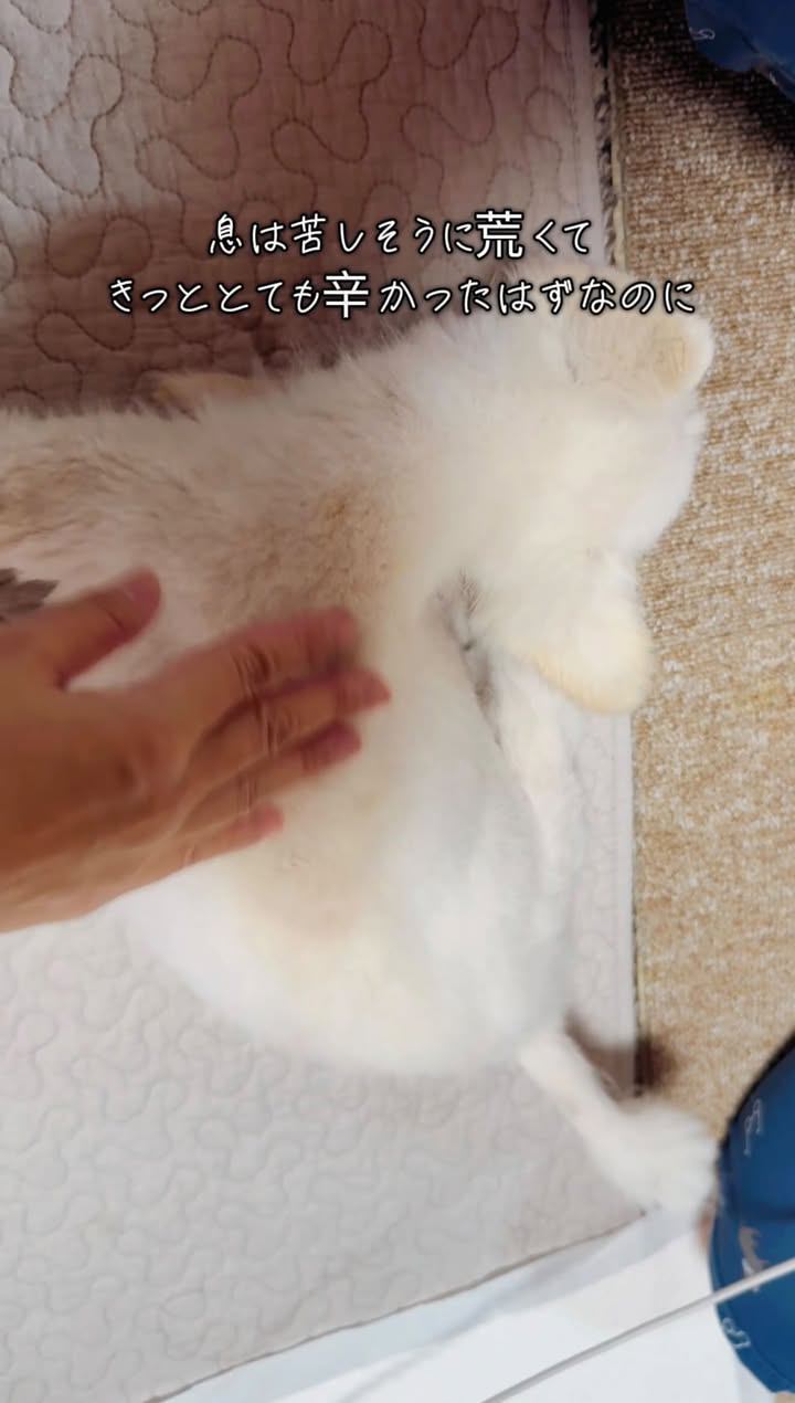 「今までありがとう」