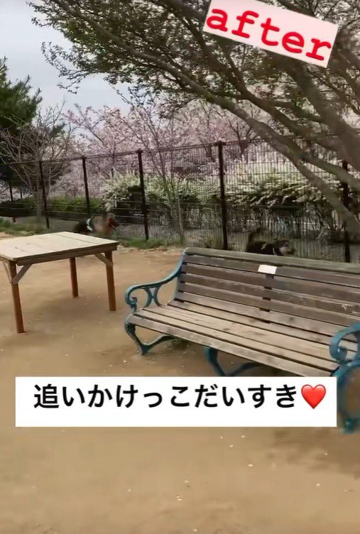 追いかけっこをして遊べるように！