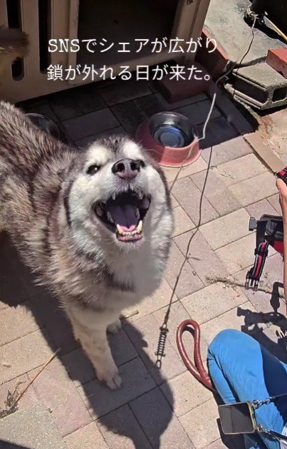 たくさんの人の尽力で…