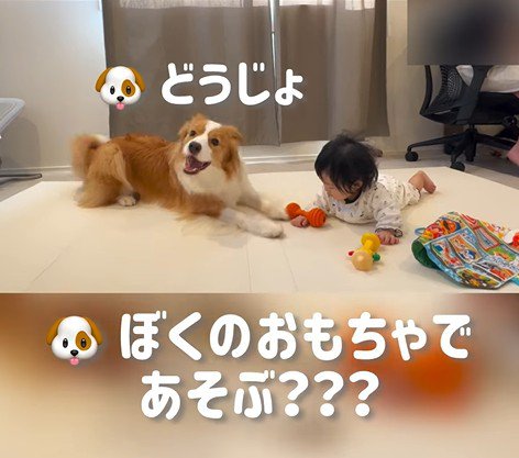 赤ちゃんを遊びに誘うまめ君3