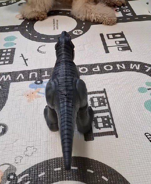 子供部屋に侵入したティーちゃん