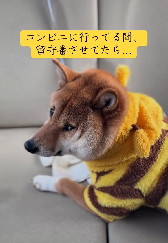 コンビニから戻った飼い主さん