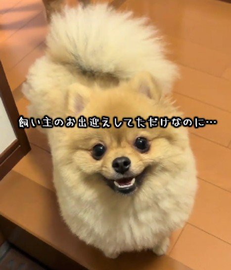 ニッコリ可愛い笑顔♡