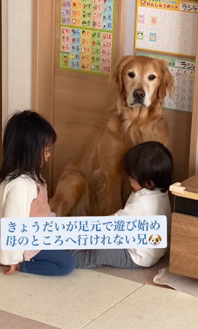 ママのところに行きたい…