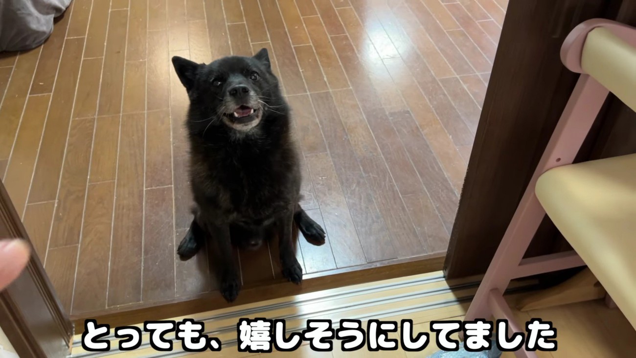 「イトちゃんがいた！」