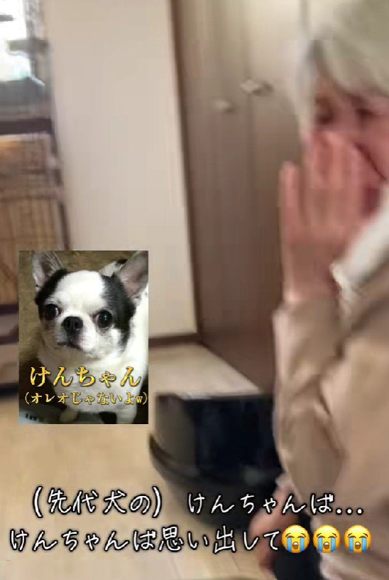 「先代犬を思い出す…」