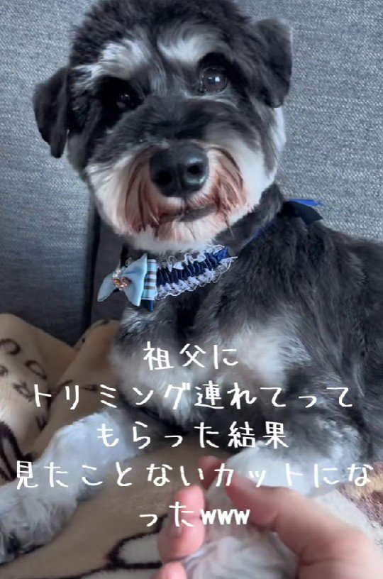 このカットはなに！？